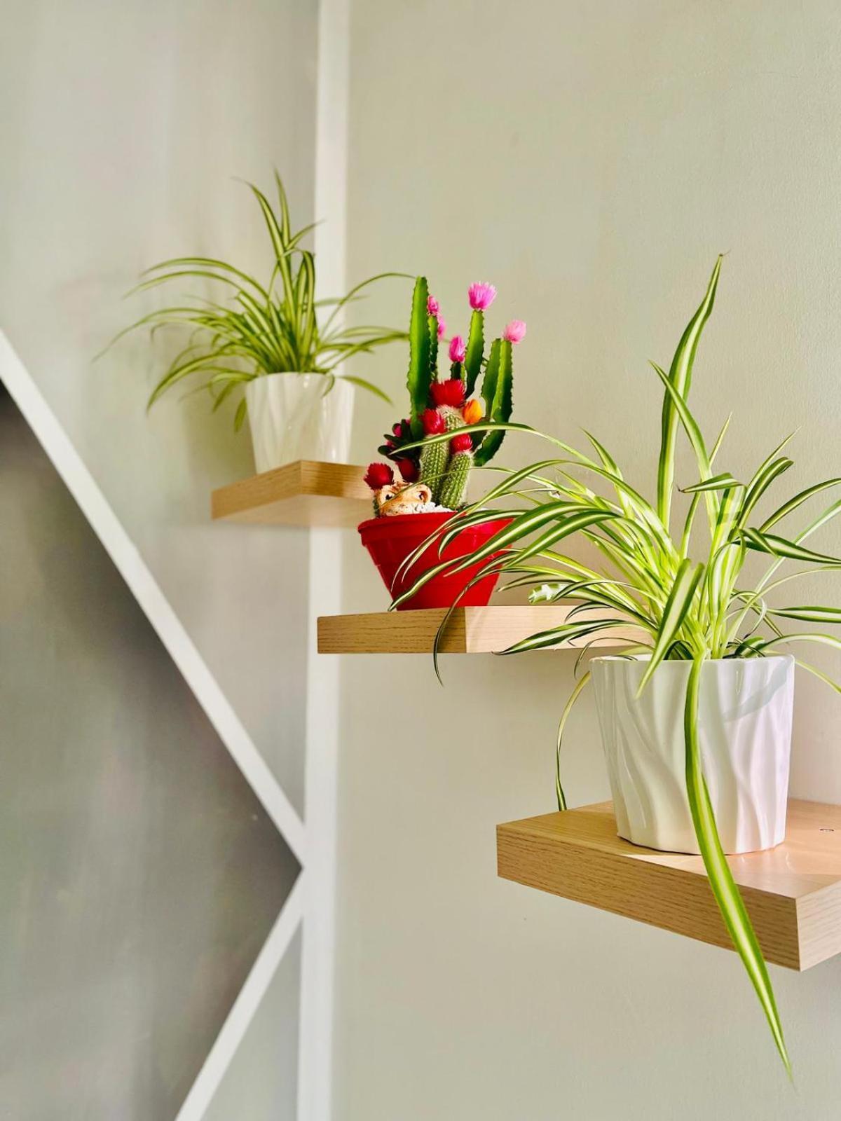 Katrin House Apartment - Verona — Photos 2